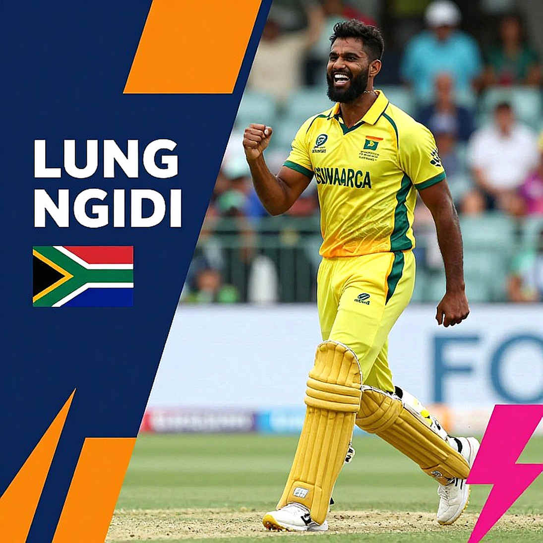 টেমপ্লেটের অন্ধবিন্দু: একটি খালি ডেটা-লেজার এবং এশীয় ক্রিকেটের অলিখিত অর্ধেক
