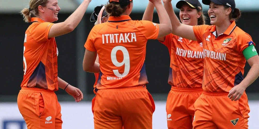 The Report of the Empty Cell: A Cricket Analysis With No Player in It